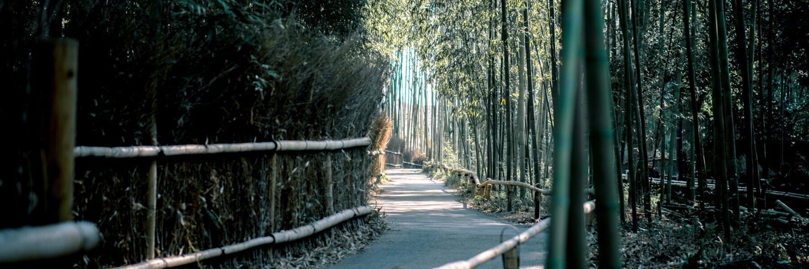 Bambouseraie d’Anduze